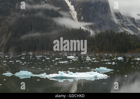 Landschaft im Tracy Arm Fjord in Alaska, USA Stockfoto