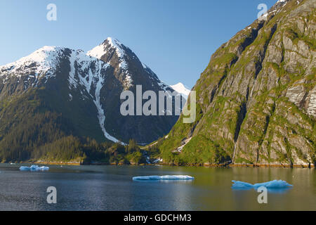 Tracy Arm Fjord ist eines der am meisten schönen Orte in Alaska USA Stockfoto