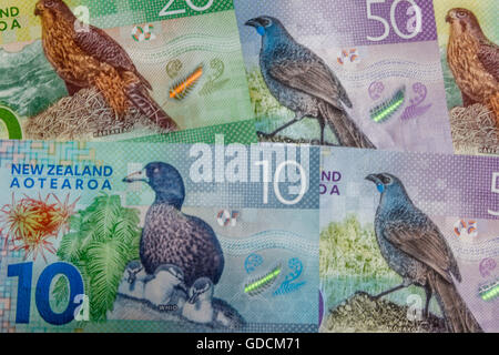 Der neue zweite Generation Kunststoff Polymer Neuseeland $50 $10 $20 kiwi Vögel Dollar Banknoten Stockfoto