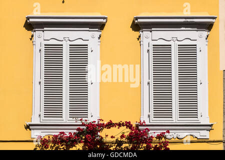 Fensterläden an der gelben Fassade des Hotel Il Guelfo Blanco, Florenz, Italien Stockfoto