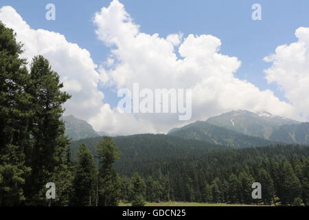 Honegg Tal in Jammu & Kaschmir Stockfoto