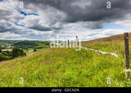 Wolle auf einem Zaun auf den sanften Hügeln des Clun Tal in der Nähe von Whitcott Keysett, Newcastle auf Clun, Shropshire gefangen Stockfoto