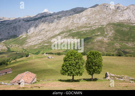 Wandern in Picos de Europa Nationalpark Europa, Spanien, Stockfoto