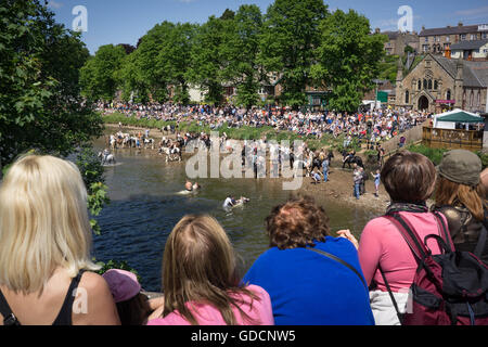 Zuschauer bei Appleby Pferdemesse in Cumbria Stockfoto