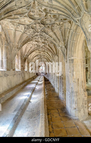 Gloucester, Großbritannien - 17. August 2015: Innenraum des Kreuzgangs des Cathedral Church of St. Peter und der Heiligen und unteilbaren Dreifaltigkeit. Stockfoto