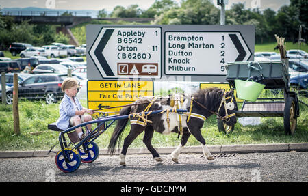 Ein kleiner Junge fährt ein Pferd und Wagen, Appleby Horse Fair in Cumbria Stockfoto