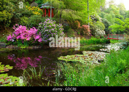 Portmeirion Gärten - die Susan Williams-Ellis Pagoda Chinese Seeblick. Portmeirion, Gwynedd, Nordwales Stockfoto