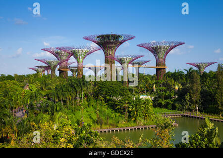 Tagsüber Blick auf die Supertree Grove bei Gardens By The Bay auf 17, 2016 in Singapur. Stockfoto