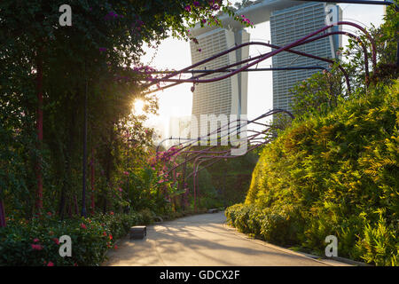 Blick auf den Sonnenuntergang von der Park-Gasse am Gardens By The Bay mit Marina Bay Sands, aufbauend auf den Hintergrund, Singapur Stockfoto