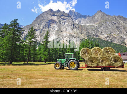 MORGEX, Italien - Juli 11: Traktor John Deere arbeitet auf dem Gebiet der Morgex Stadt am 11. Juli 2015. Stockfoto