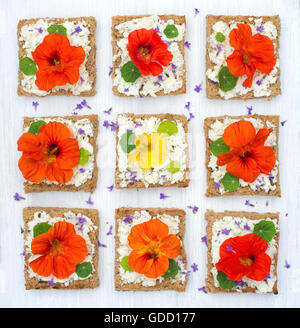 Kapuzinerkresse :. Genießbare Kapuzinerkresse und Lavendelblüten auf weichem Käse und geröstetes Vollkornbrot Stockfoto
