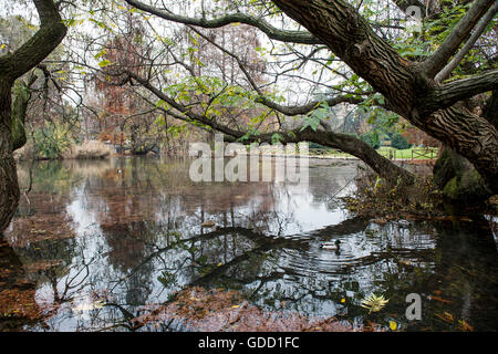 Italien, Lombardei, Mailand, Parco Sempione Stockfoto