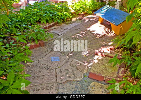 Hemingway, Ernest, 21.7.1899 - 2.7.1961, US-amerikanischer Autor/Schriftsteller, Wohnsitz der Hemingway-Familie seit 1831, Katzenhaus im Garten, Florida, Key West, USA, Stockfoto