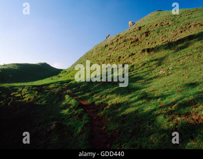 Oberen zwei Wälle am SE Eingang von Cadbury Castle Eisenzeit Fort, Somerset. Je später ist Dark Age Phase des Forts mit King Arthur in Verbindung gebracht. Stockfoto