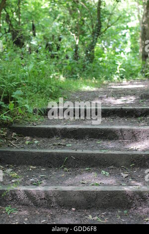 Grobe Holzstufen im Land Stockfoto