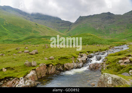 Mickleden Beck im Nationalpark Lake Diastrict Stockfoto