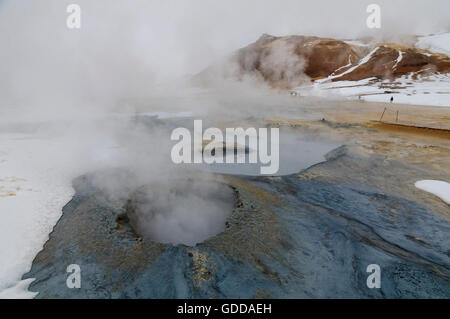 Heiße Quellen und Schlammlöcher von Hverarönd in der Nähe von Myvatn in Nord-Island. Stockfoto