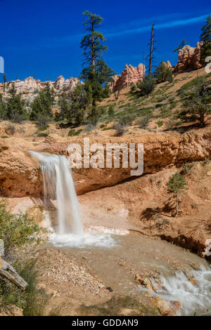 Bryce Canyon-Wasserfall Stockfoto