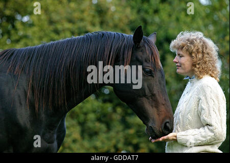 ENGLISCHES VOLLBLUT PFERD, FRAU MIT IHREM PFERD Stockfoto