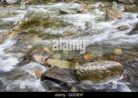 Italien, Europa, Nord-Italien, Piemont, Nationalpark Val Grande, Creek, Stein, Bachbett, Wasser Stockfoto