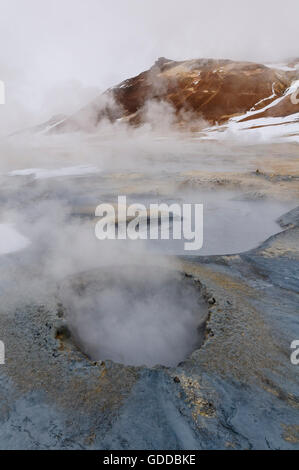 Heiße Quellen und Schlammlöcher von Hverarönd in der Nähe von Myvatn in Nord-Island. Stockfoto