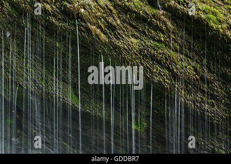 Detail der Thur Wasserfälle, Kanton St. Gallen, Schweiz Stockfoto