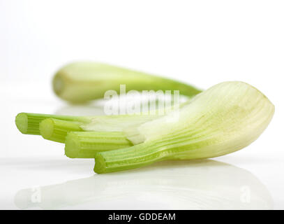 Wenig Fenchel, Foeniculum Vulgare, Gemüse vor weißem Hintergrund Stockfoto