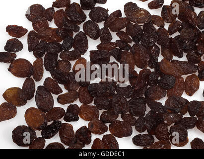 Johannisbeere, Vitis Vinifera Apyrena, schwarze Korinth Traube Trockenfrüchte Stockfoto