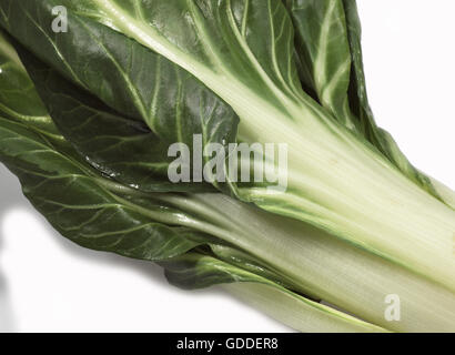 VERLÄSST der Mangold Beta Vulgaris vor weißem Hintergrund Stockfoto