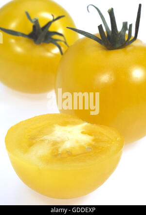 Gelbe Tomaten, Solanum Lycopersicum vor weißem Hintergrund Stockfoto