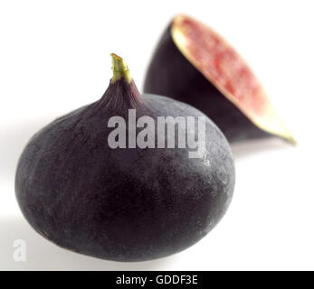 Frische Feigen, Ficus Carica weißer Hintergrund Stockfoto
