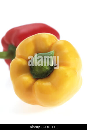 Süße rote und gelbe Paprika, Capsicum Annuum, vor weißem Hintergrund Stockfoto