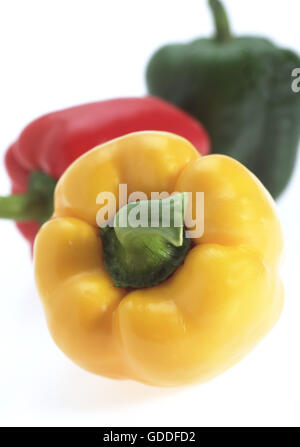 SÜßE rote, süße Gelbe und grüne Paprika Capsicum annuum Stockfoto