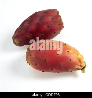 Stachelige Birne Obst aus Kaktus Opuntia sp. Stockfoto
