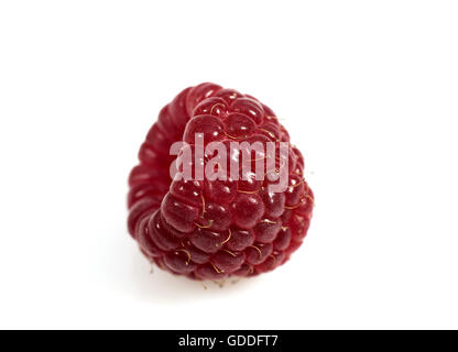 HIMBEERE VOR WEIßEM HINTERGRUND Stockfoto