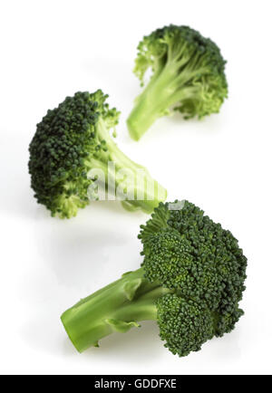 Brokkoli, Kohl, Brassica Oleracea, Gemüse vor weißem Hintergrund Stockfoto