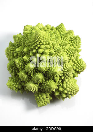 Romanesco Kohl, Brassica Oleracea, Gemüse vor weißem Hintergrund Stockfoto