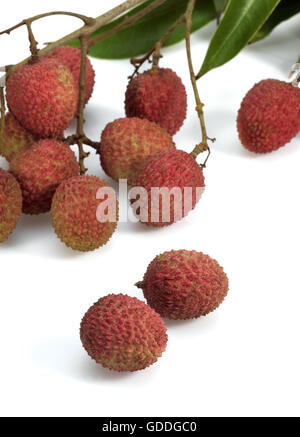 Litschi oder Litchee, Litchi Sinensis, exotische Früchte vor weißem Hintergrund Stockfoto
