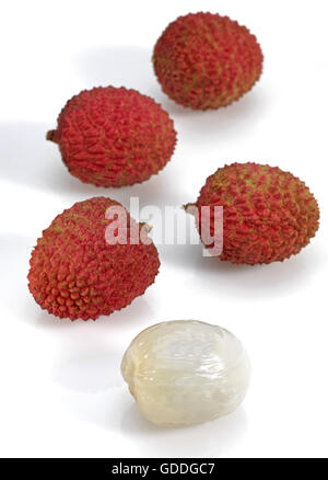 Litschi oder Litchee, Litchi Sinensis, exotische Früchte vor weißem Hintergrund Stockfoto