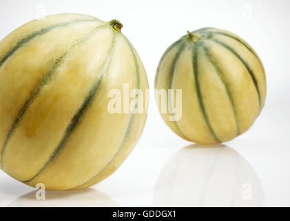 Cavaillon-Melone, Cucumis Melo, Obst auf weißem Hintergrund Stockfoto