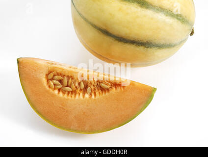 Cavaillon-Melone, Cucumis Melo, Früchte vor weißem Hintergrund Stockfoto