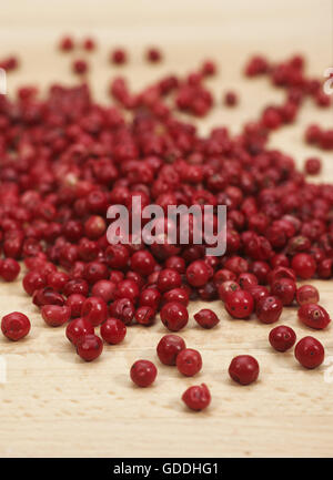 Rosa Pfeffer, Schinus Terebinthifolius, Beeren Stockfoto