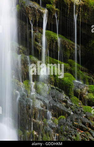 Thur Wasserfälle, Kanton St. Gallen, Schweiz Stockfoto