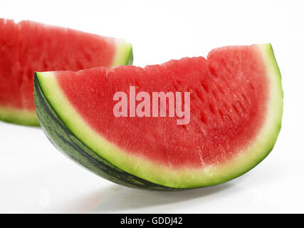 Wassermelone, Citrullus Lanatus, vor weißem Hintergrund Stockfoto