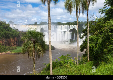 Iguazu Wasserfälle, Argentinien Stockfoto
