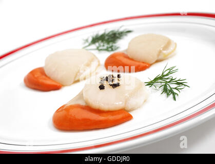 FRISCHE Jakobsmuscheln Pecten Maximus mit DILL Stockfoto