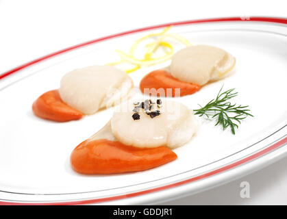 FRISCHE Jakobsmuscheln Pecten Maximus mit DILL IN A PLATE Stockfoto