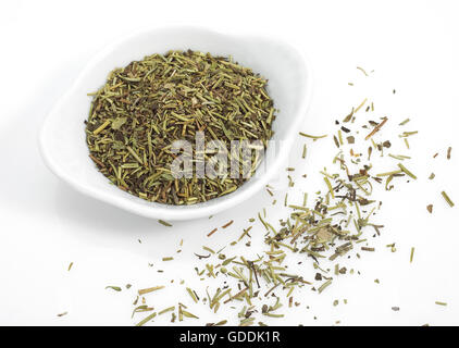 HERBE DE PROVENCE ODER PROVENZALISCHEN KRÄUTERN VOR WEIßEM HINTERGRUND Stockfoto