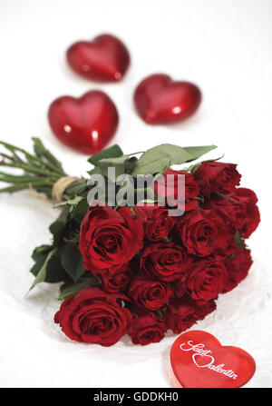 ROTE ROSEN ZUM VALENTINSTAG Stockfoto