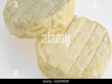 SAINT-MARCELLIN, EIN FRANZÖSISCHER KÄSE AUS KUHMILCH HERGESTELLT Stockfoto